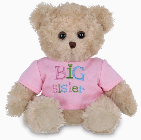 Big Sister Bear