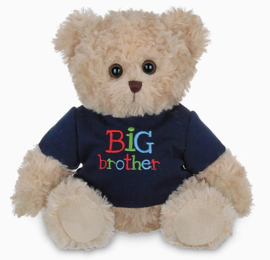 Big Brother Bear